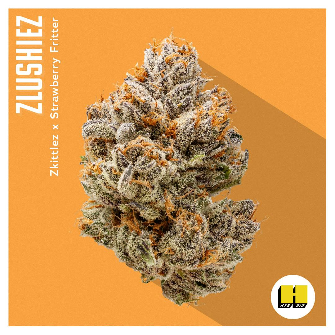 Flower - Zlushiez