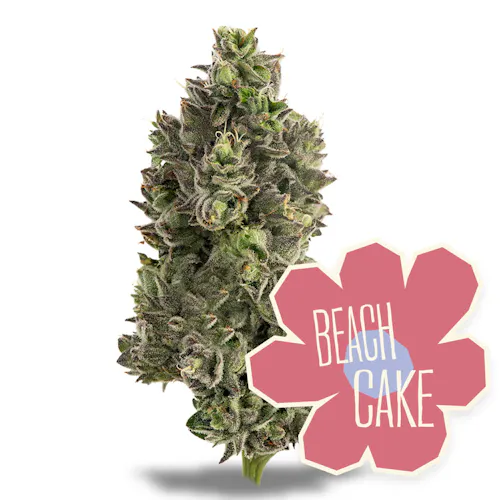 Beach Cake Flower-2