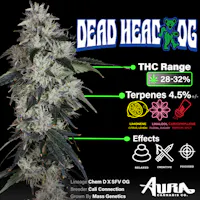Product Aura Cannabis Co. - Dead Head OG Flower (3.5g)