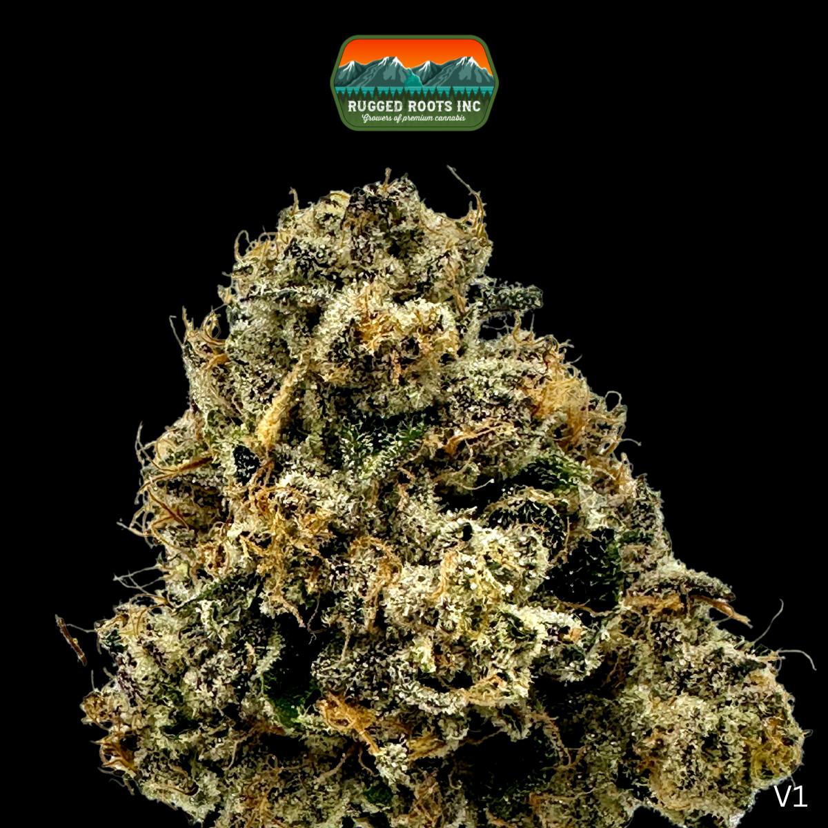 Invisible Ink | 1/8oz Flower | Rugged Roots | Berwick, ME