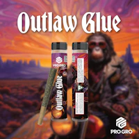 Outlaw Glue Pre-Roll | 1g - product image at King of Budz