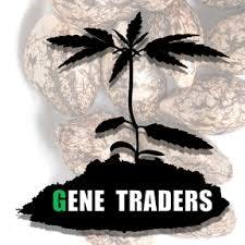 Gene Traders | Piff Star | 5pk Seeds