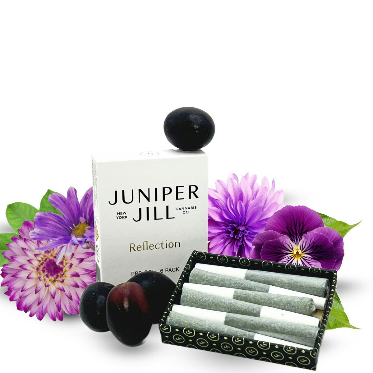 Image of Purple Panty Dropper Preroll 6pk