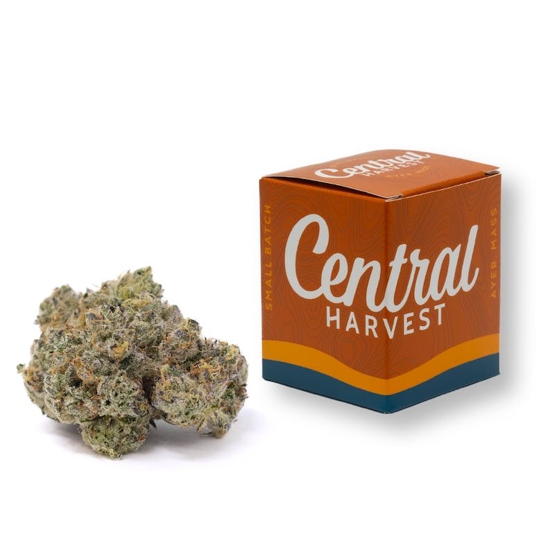 Product Central Harvest - Buckin Runtz Flower (3.5g)