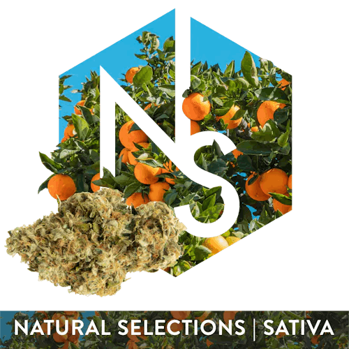 Ethos Natural Selections - Flower 3.5g - Strawberry Guava