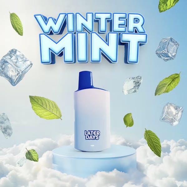 Winter Mint | 1g | Disposable Vape | Later Days