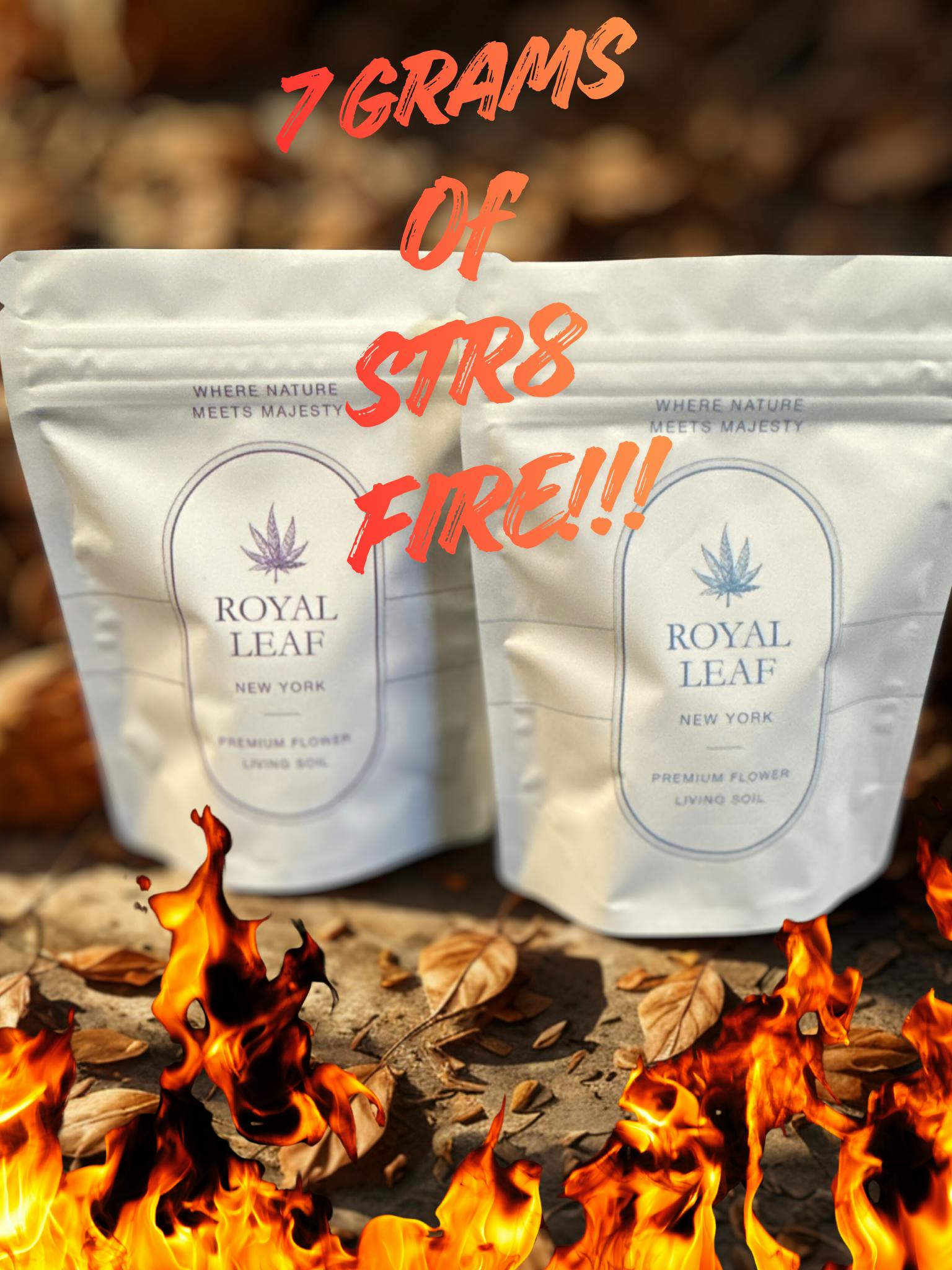 Product Royal Leaf - Cotton Candy Kush - 7g - Sun Grown / Living Soil Flower