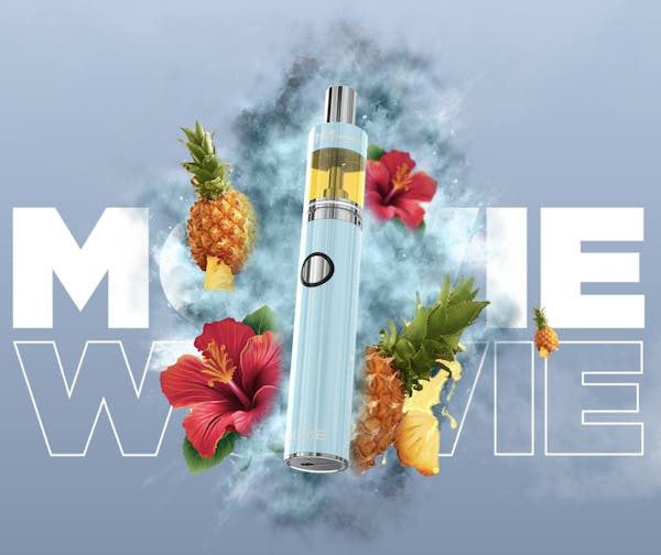 Mowie Wowie (S) | 2g | Full Spectrum | Disposable | DIME