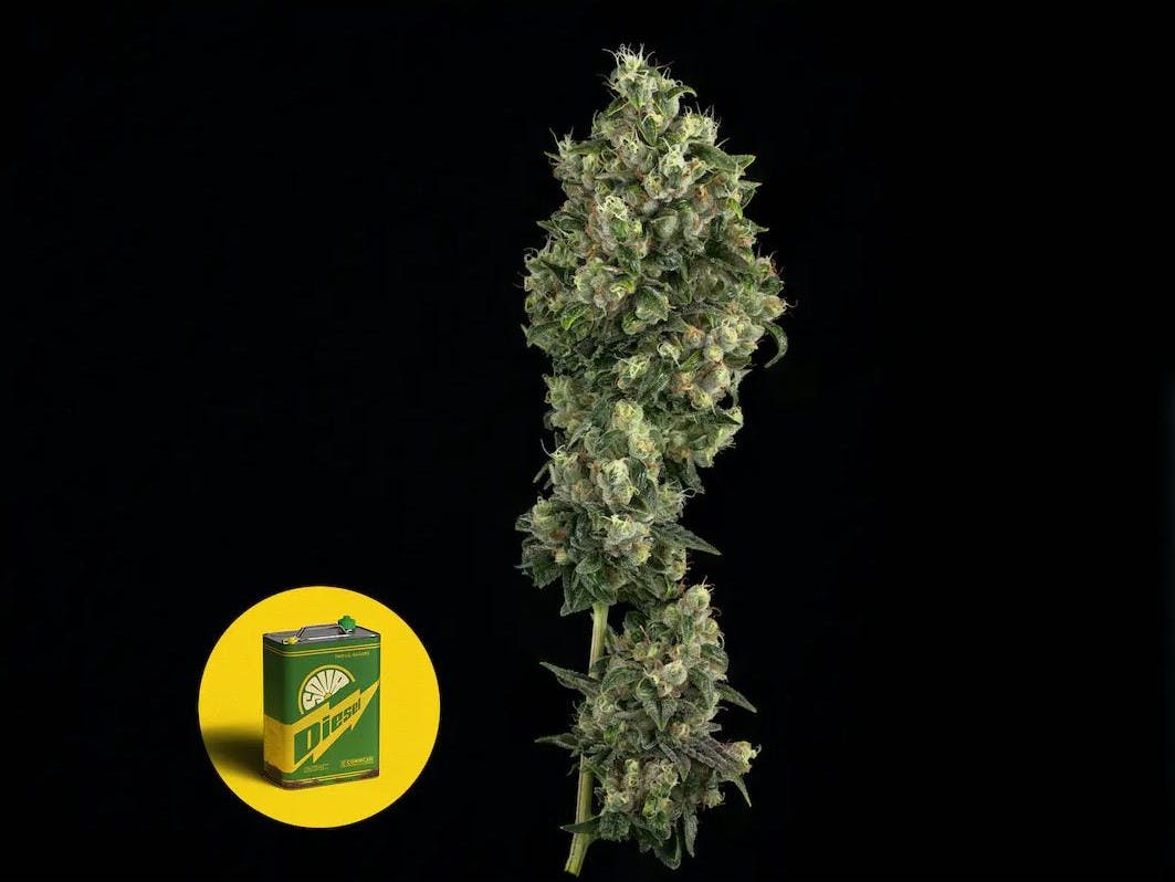 Photo of Cuban Linx 1g Flower CommCan