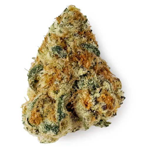 Voyage Bloom RX Sugar Prepack Rec-active