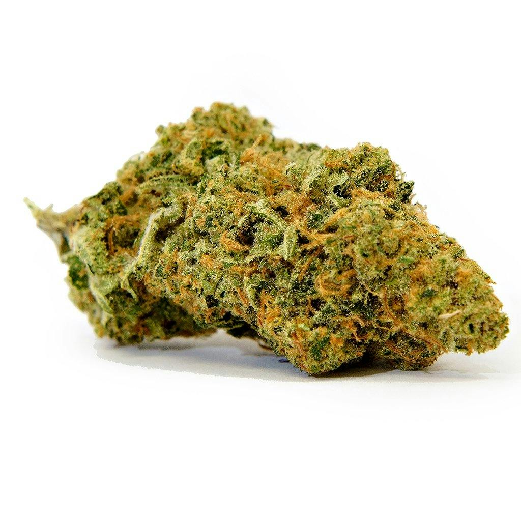DazeD8: Mango Haze Live Resin THC-O Titanz Disposable — 2