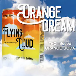 Beverage Orange Dream THC Single