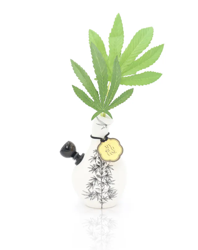 LOVEBUD Glass My Bud Vase Bong (glassware)