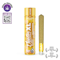 Mango Sherbet XL Infused Pre-Roll | 2g - product image at King of Budz
