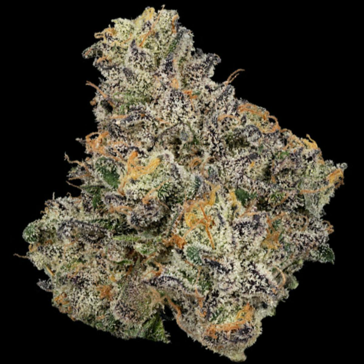 Product Sherb Cream Pie | Flower | 3.5g