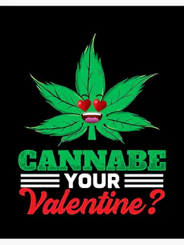 V-Day Picks category image
