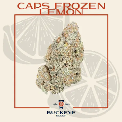 Caps Frozen Lemon-1