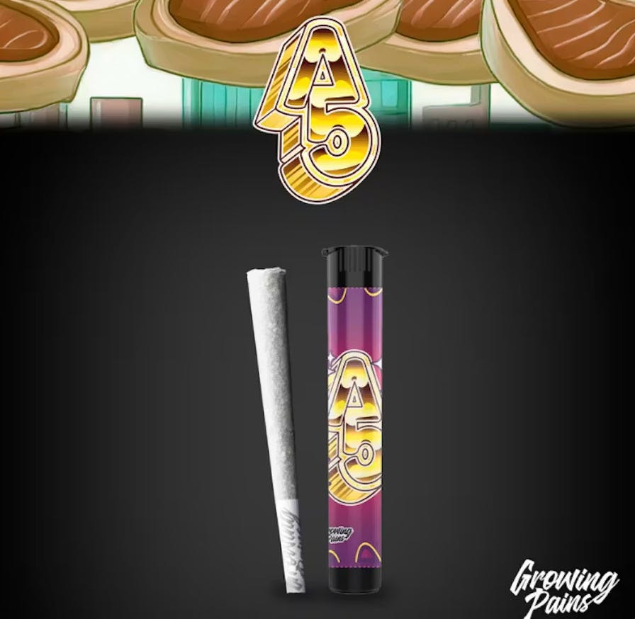 Product: Growing Pains | Pre-Roll - 1g - A5