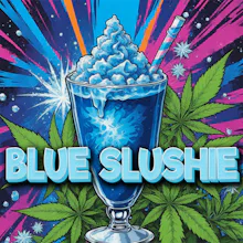 1937 - 14g - Blue Slushie #3 - FLOWER by 1937 at King of Budz