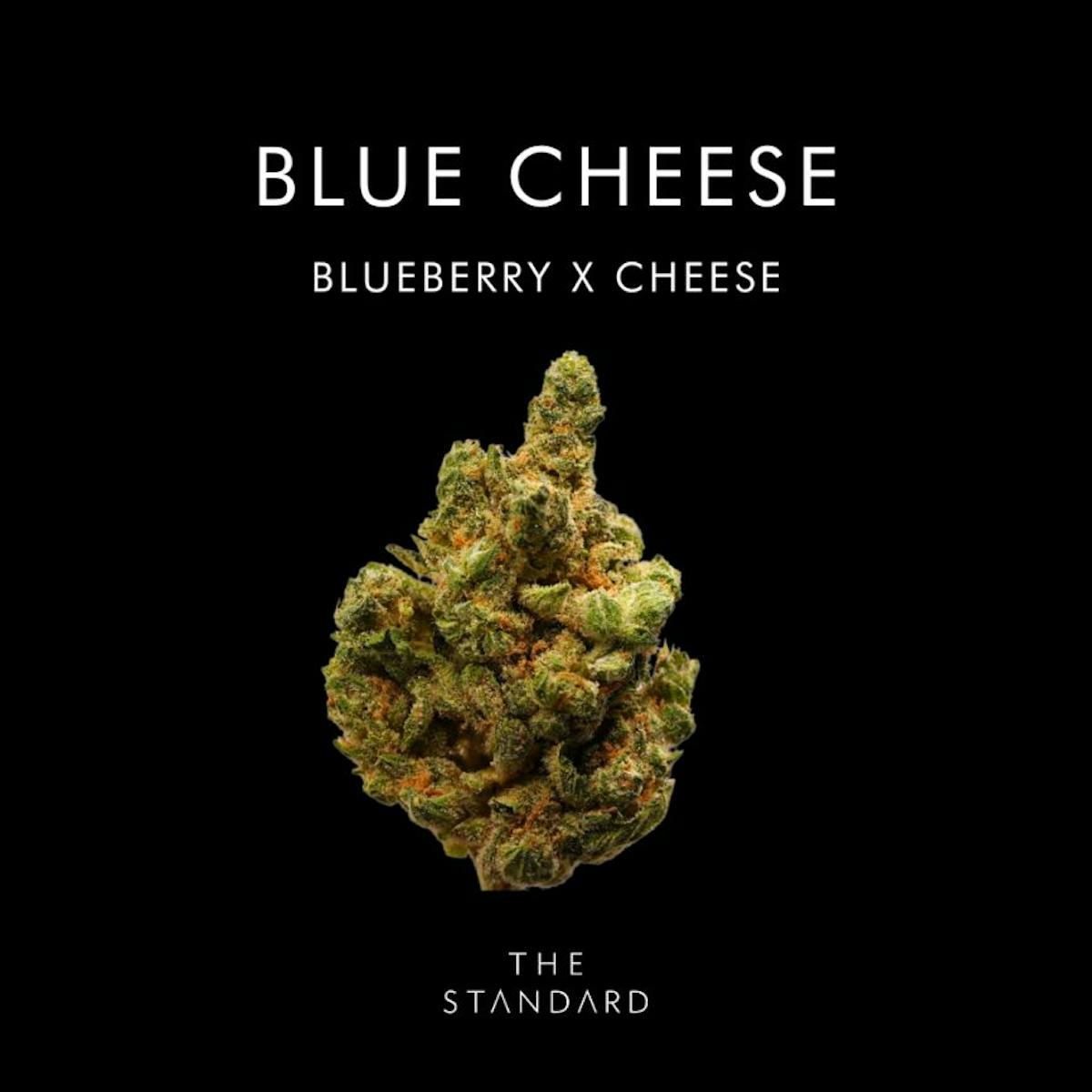 image of Blue Cheese