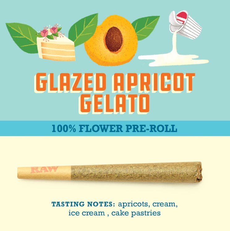 Glazed Apricot Gelato [1g]