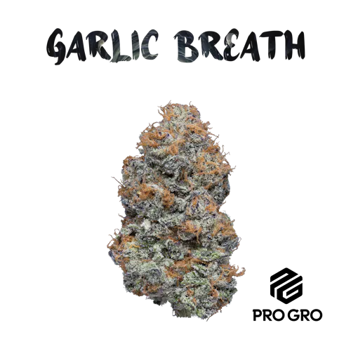 Garlic Breath Deli-1