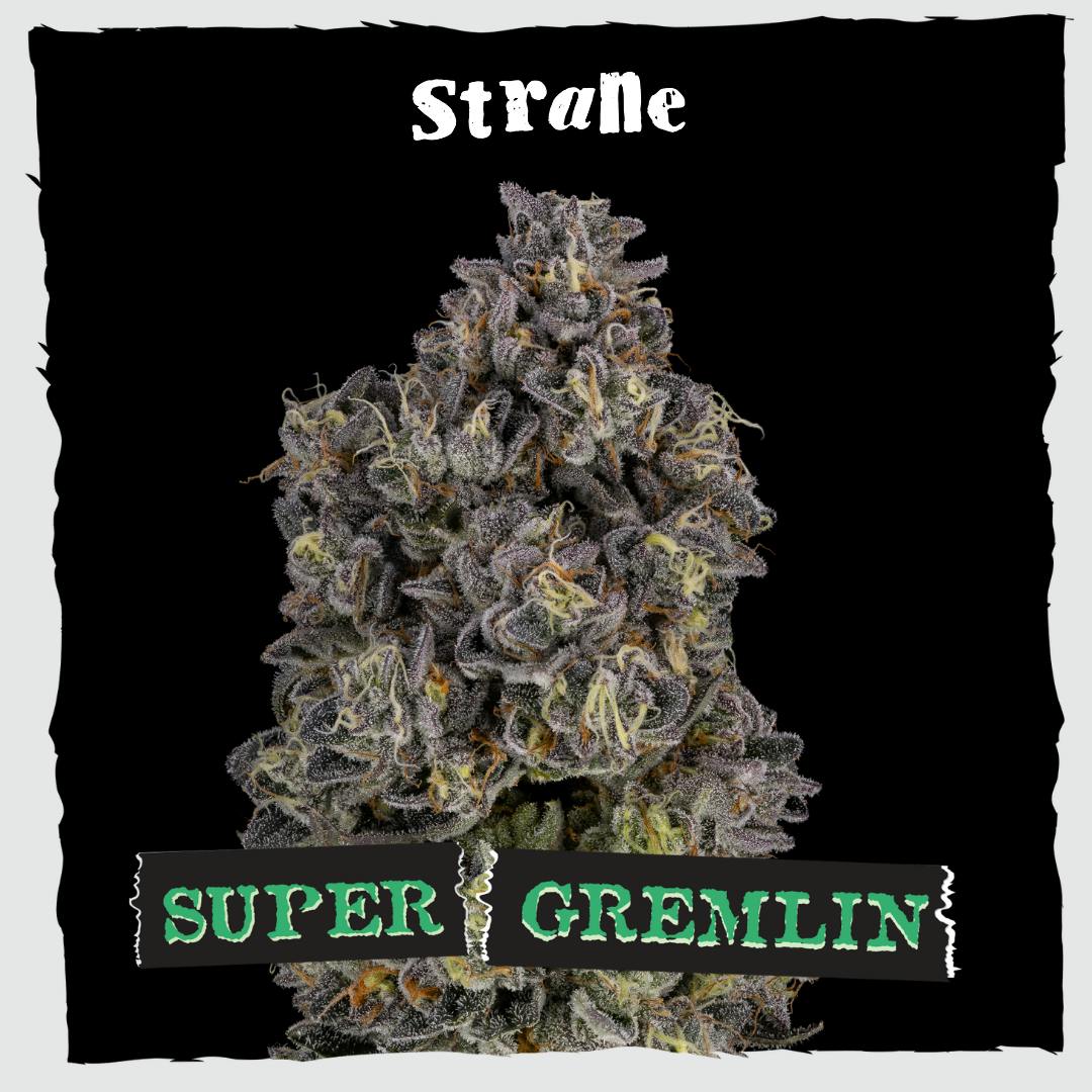 Shop Strane Brand Products Online - Star Buds Cannabis Dispensaries