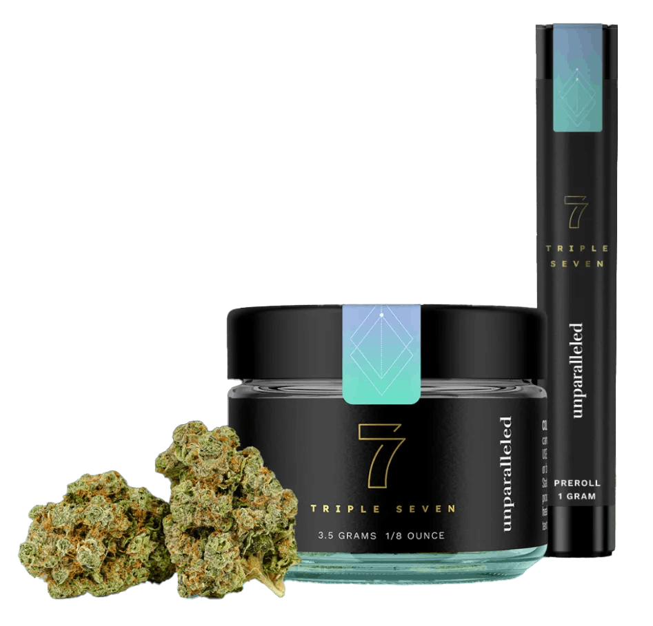 トリプルセグメント Triple Seven - Commando - 8th | GreenLabs