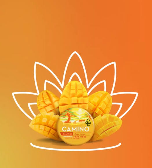 Camino Sours Mango Serenity 1:1 (THC:CBD)
