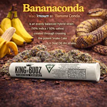 KOB - 1g Preroll - Banana Conda