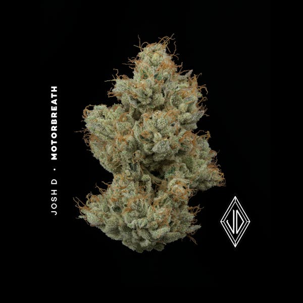 Blue Raz | 2.83g Flower | Cookies |