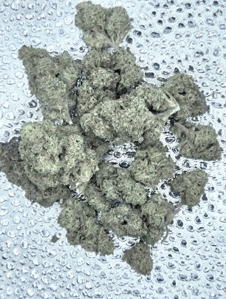 Fruit Stripez | Dragonfly