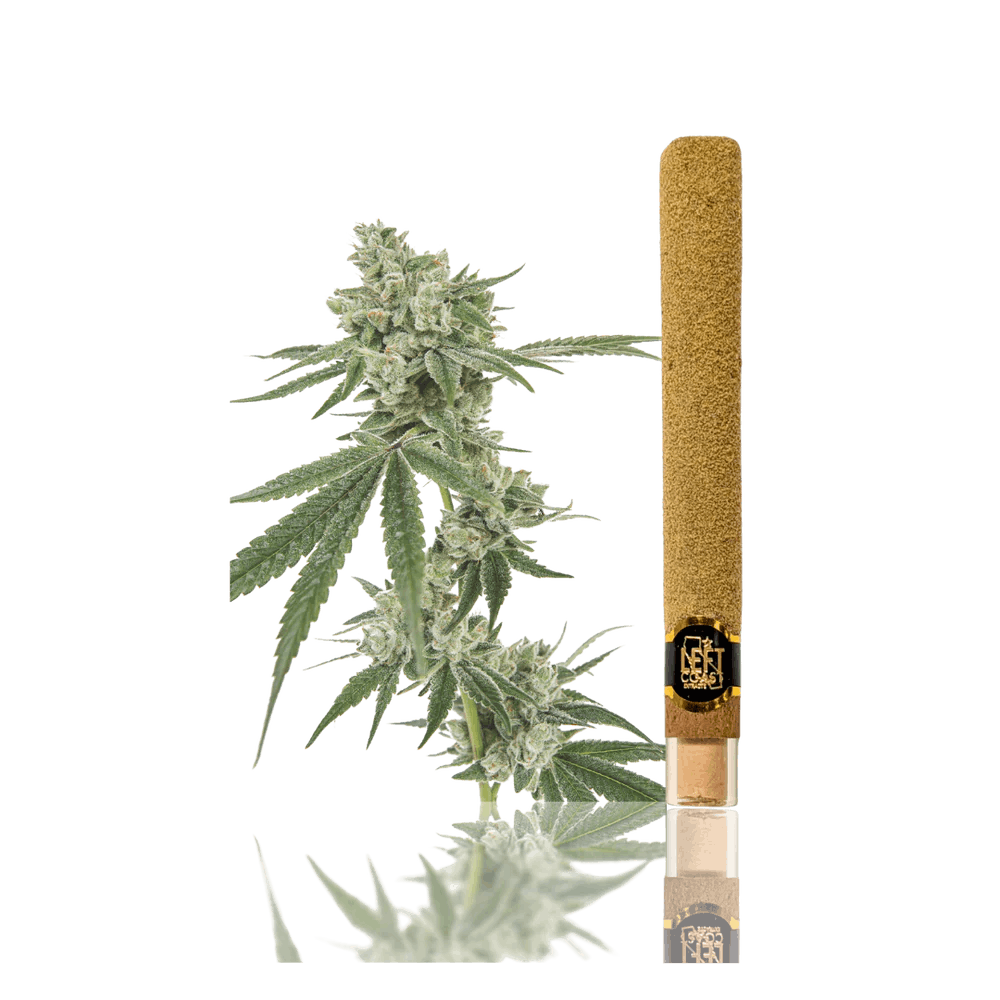 Product Infused Blunt | Maui Waui (H) Left Coast