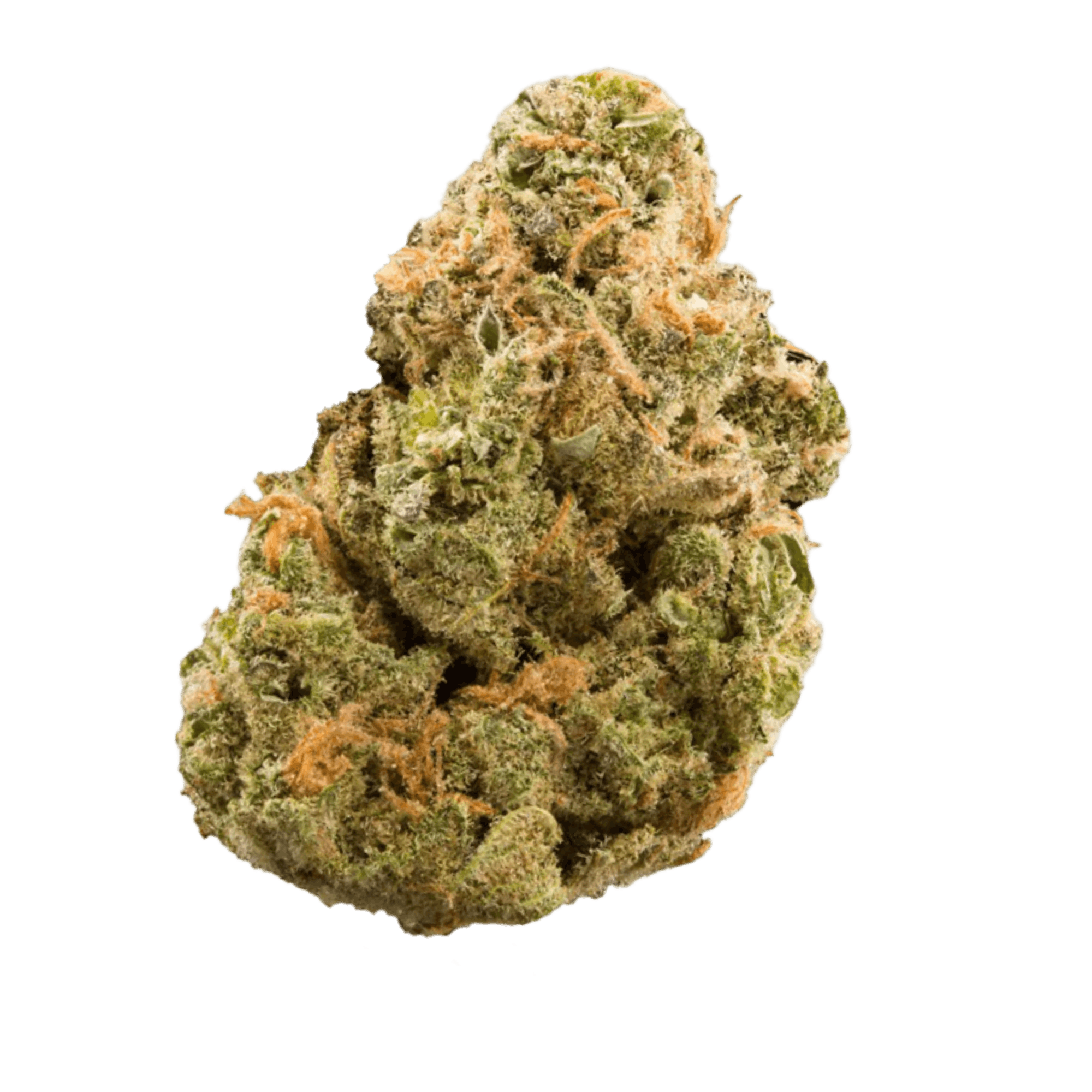 White 99 Flower - 