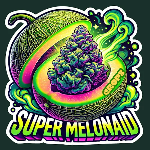 Crops | Flower | Super Melonaid 349 | 7g-2