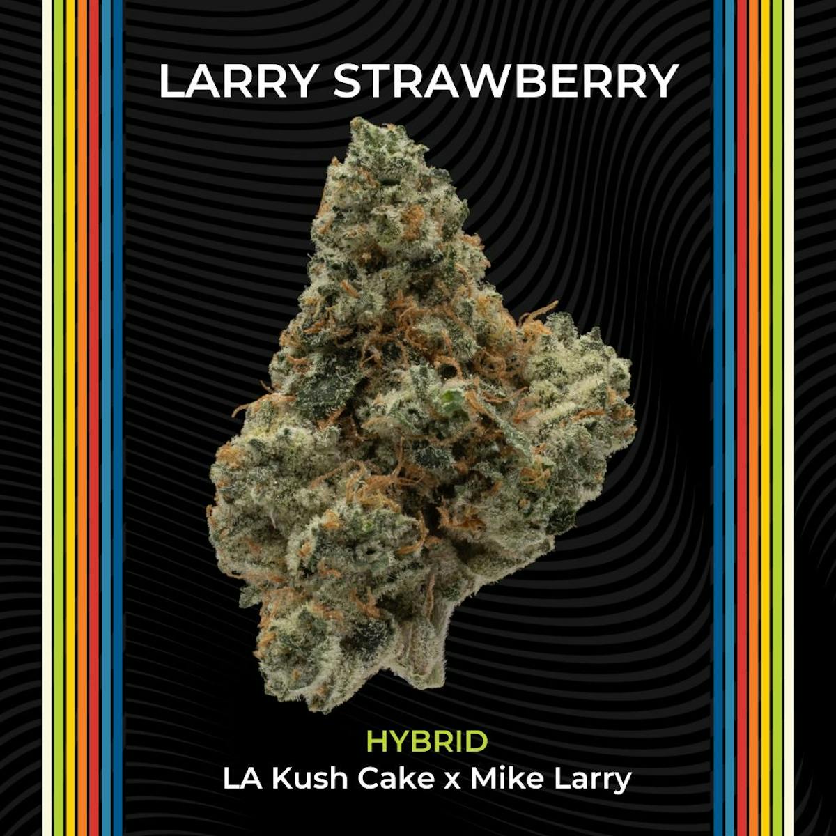 Photo of Larry Strawberry