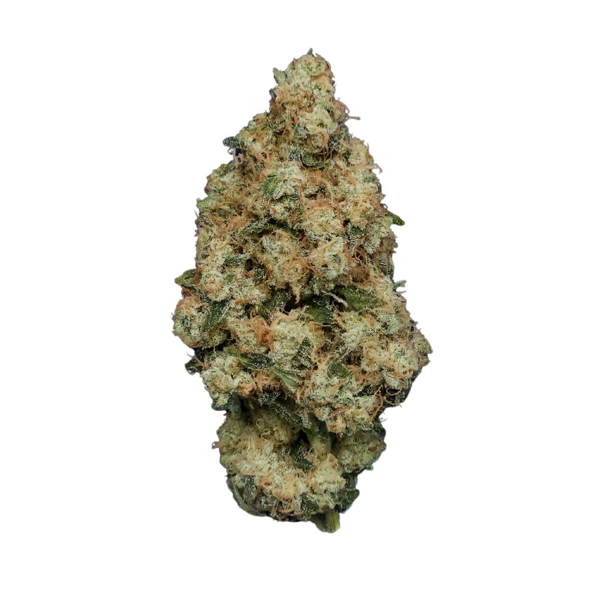 Photo of Root & Bloom Ghost Dawg 28g