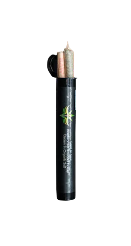Shop EV Family Farms | Pre-Roll Pack | White Truffle | 2pk/1g In