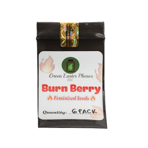 Feminized Seed Burn Berry - 6 Pack