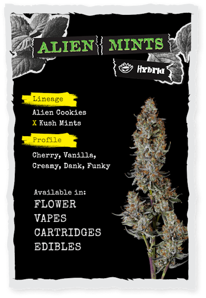 Alien Mints (H) | 3.5g | Flower | 33.76% | Terps 1.9%