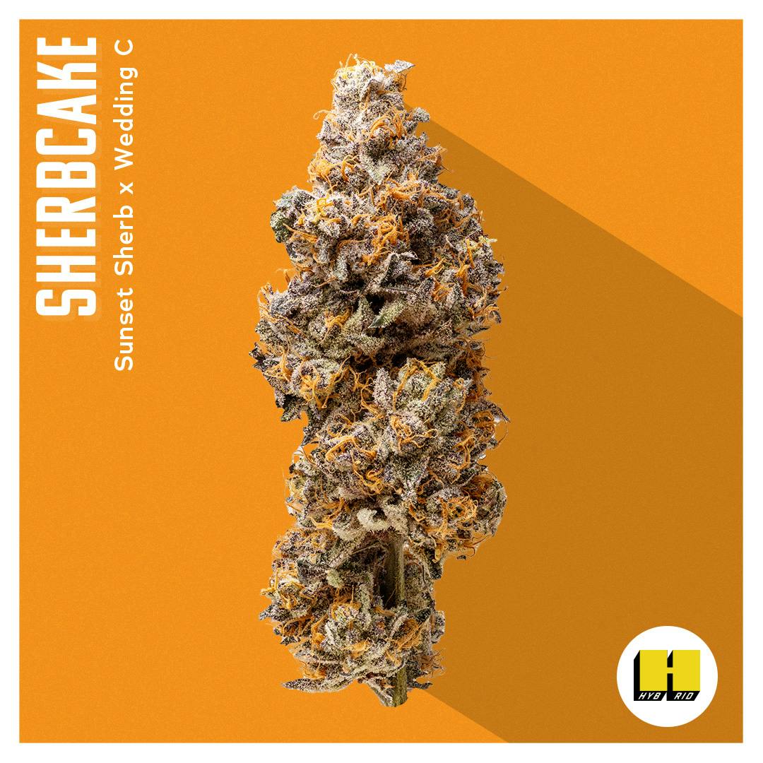 Flower - Sherbcake