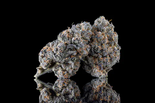 Noble Valley | Flower | Island Boi 10 | 7g-2