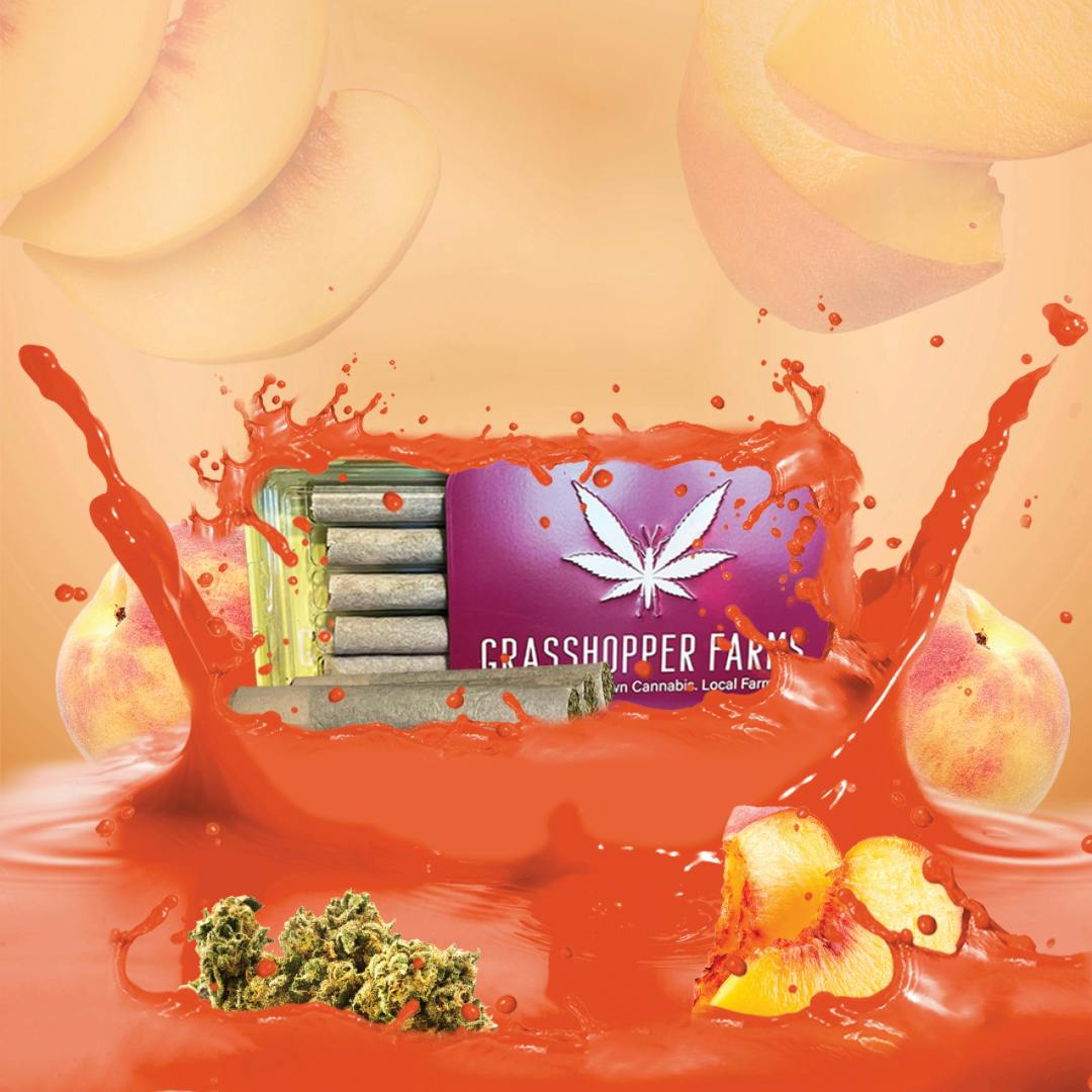 Grasshopper Farms | Peach Punch | Infused Pre-roll | 1g | Hybrid