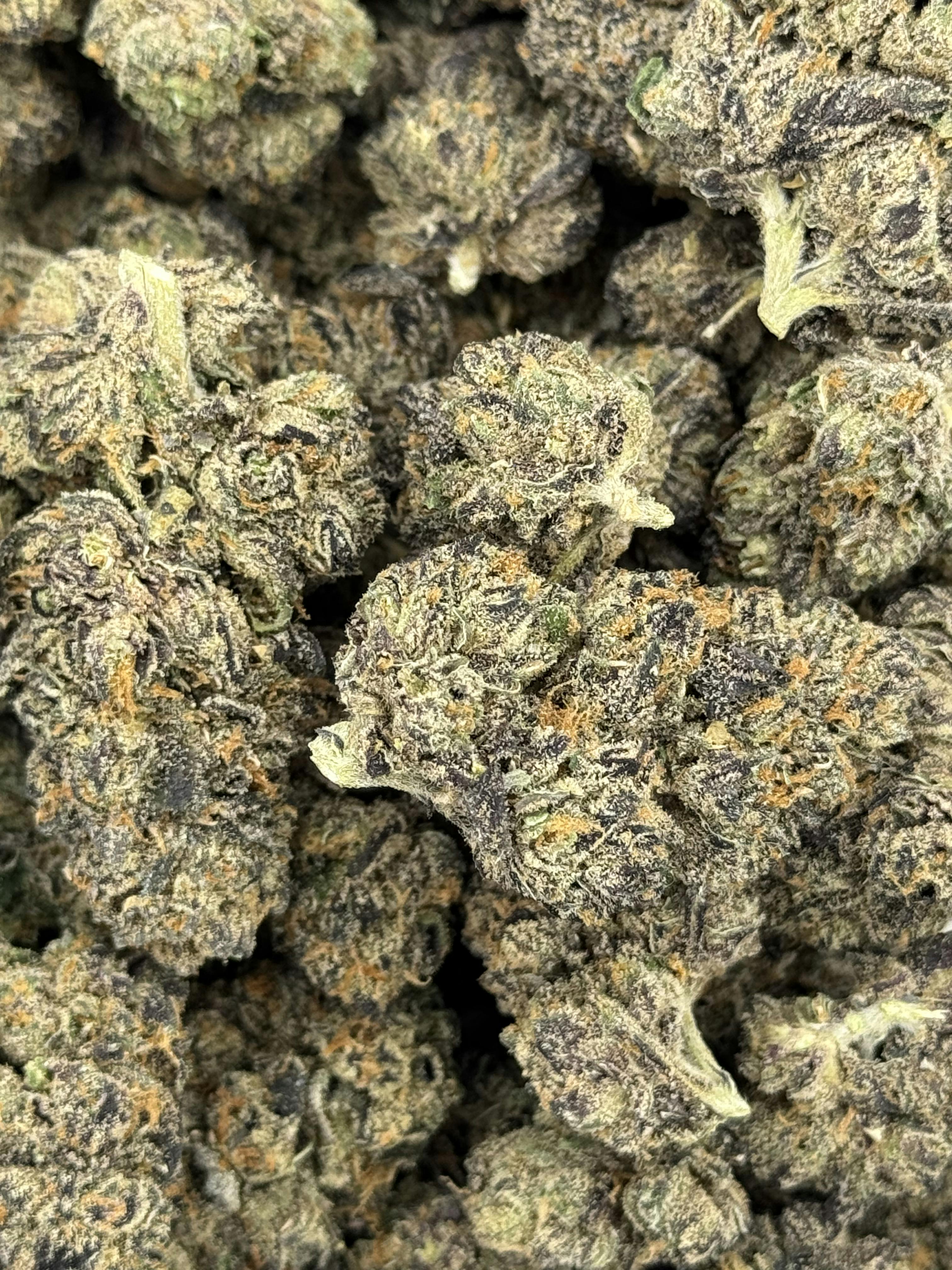 Pro Gro | Blackberry Gelato | Deli Flower (Platinum)