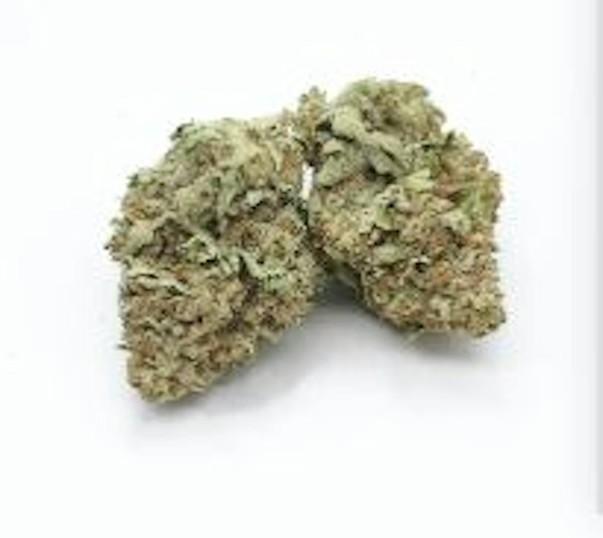 Image of Chemon Tree – Prepackaged Flower