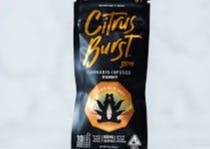 CITRUS BURST GUMMIES