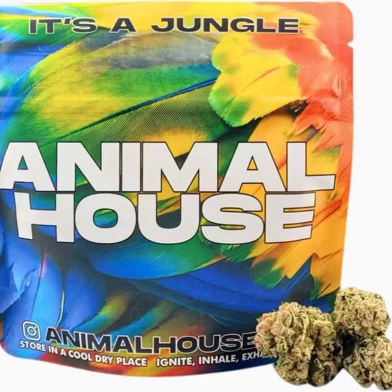 Animal House | G6 | 3.5g