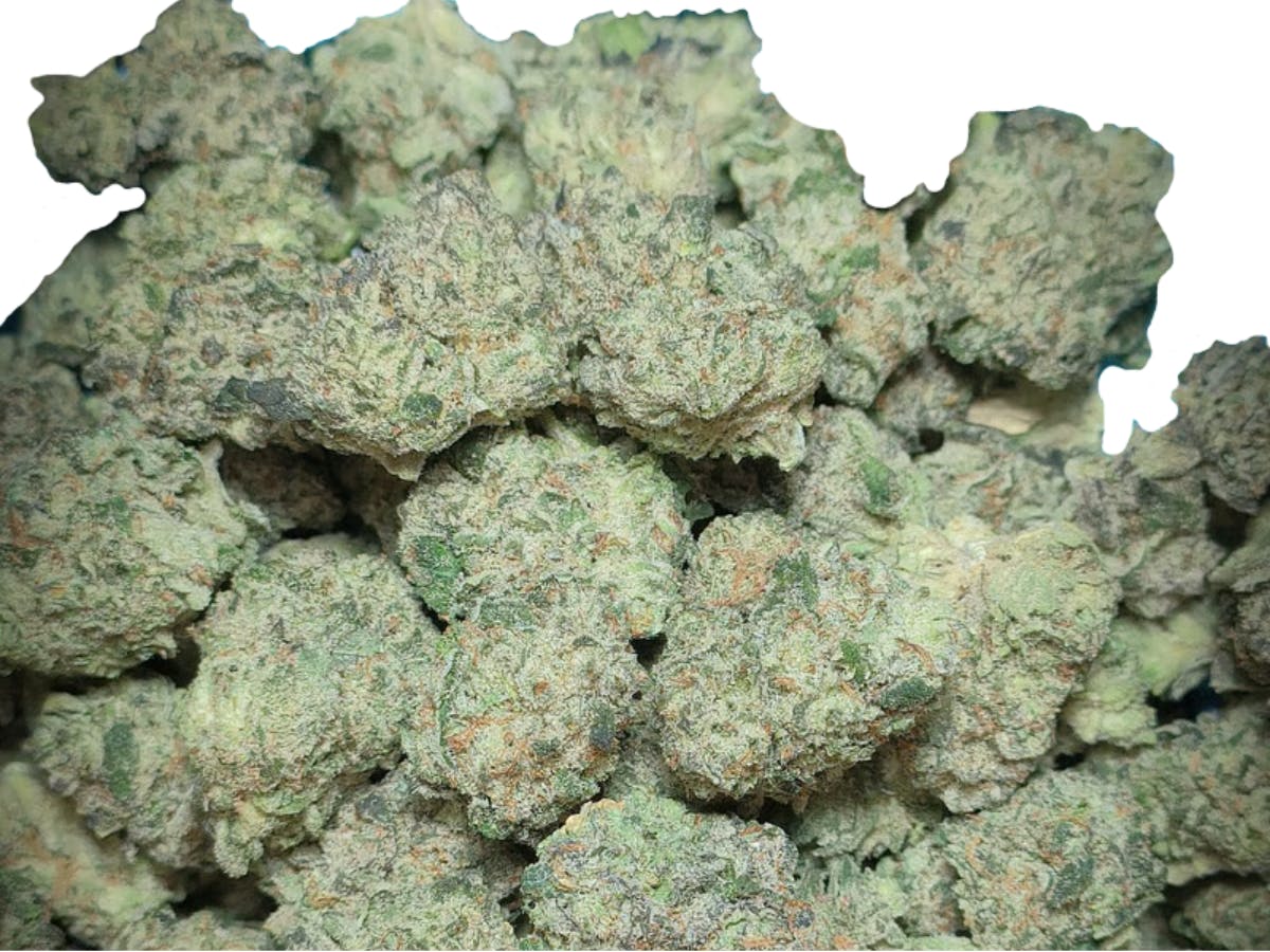 HASHISH BOYZ | MONSTER RUNTZ | BULK | INDICA/HYBRID