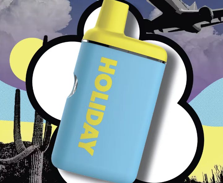 Vape | Holiday | Airplane Mode Disposable Vape | 1g