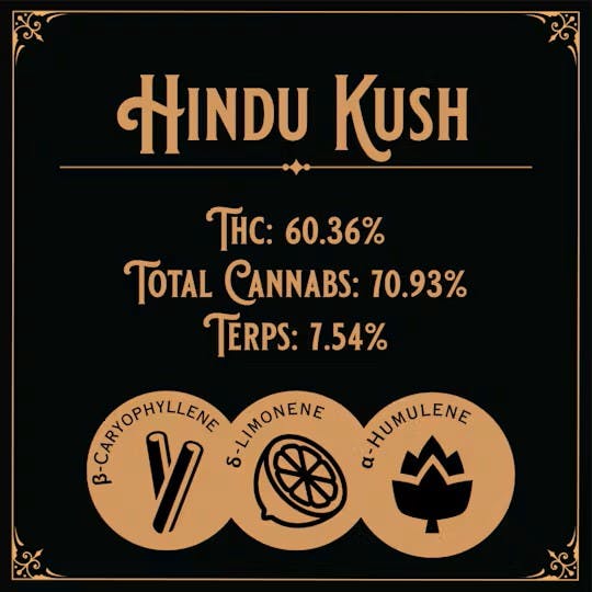 OLD SCHOOL HASH CO. OLD SCHOOL HASH CO. | HINDU KUSH | TEMPLE BALL HYBRID — CONCENTRATES